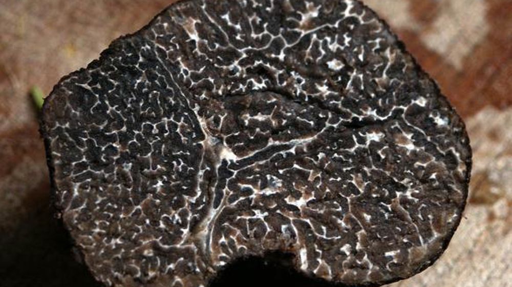 Photo d’illustration. © Pixabay